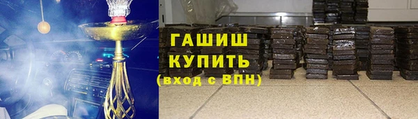 индика Бородино