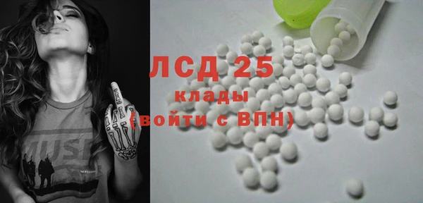 индика Бородино