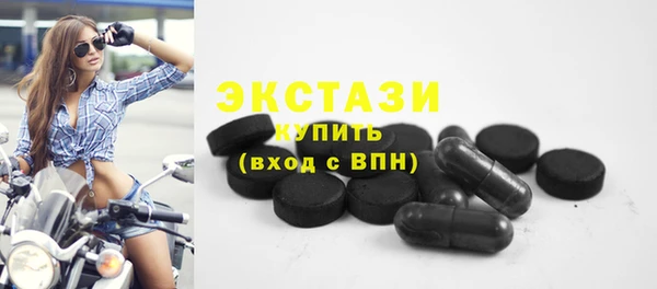 индика Бородино