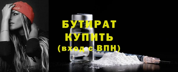 индика Бородино