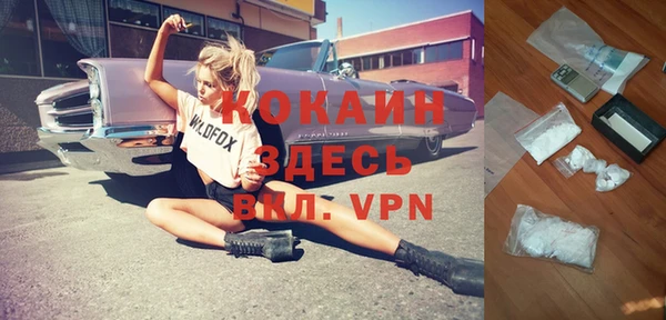 индика Бородино