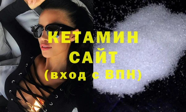 индика Бородино