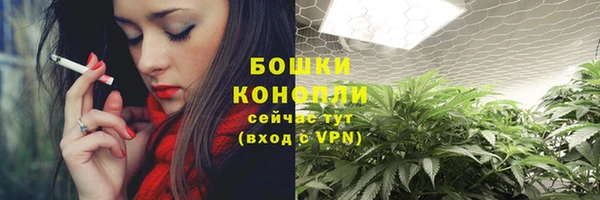 индика Бородино