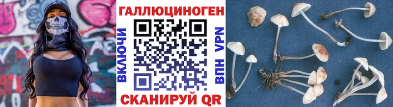 мега как зайти  Спасск-Дальний  Галлюциногенные грибы Psilocybe  сколько стоит 