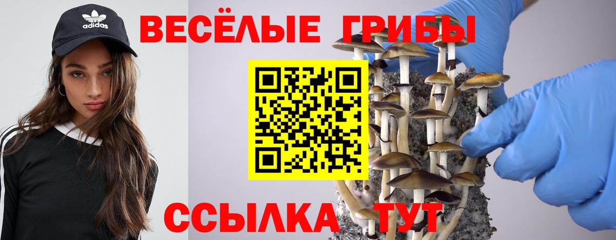 Галлюциногенные грибы Magic Shrooms Спасск-Дальний